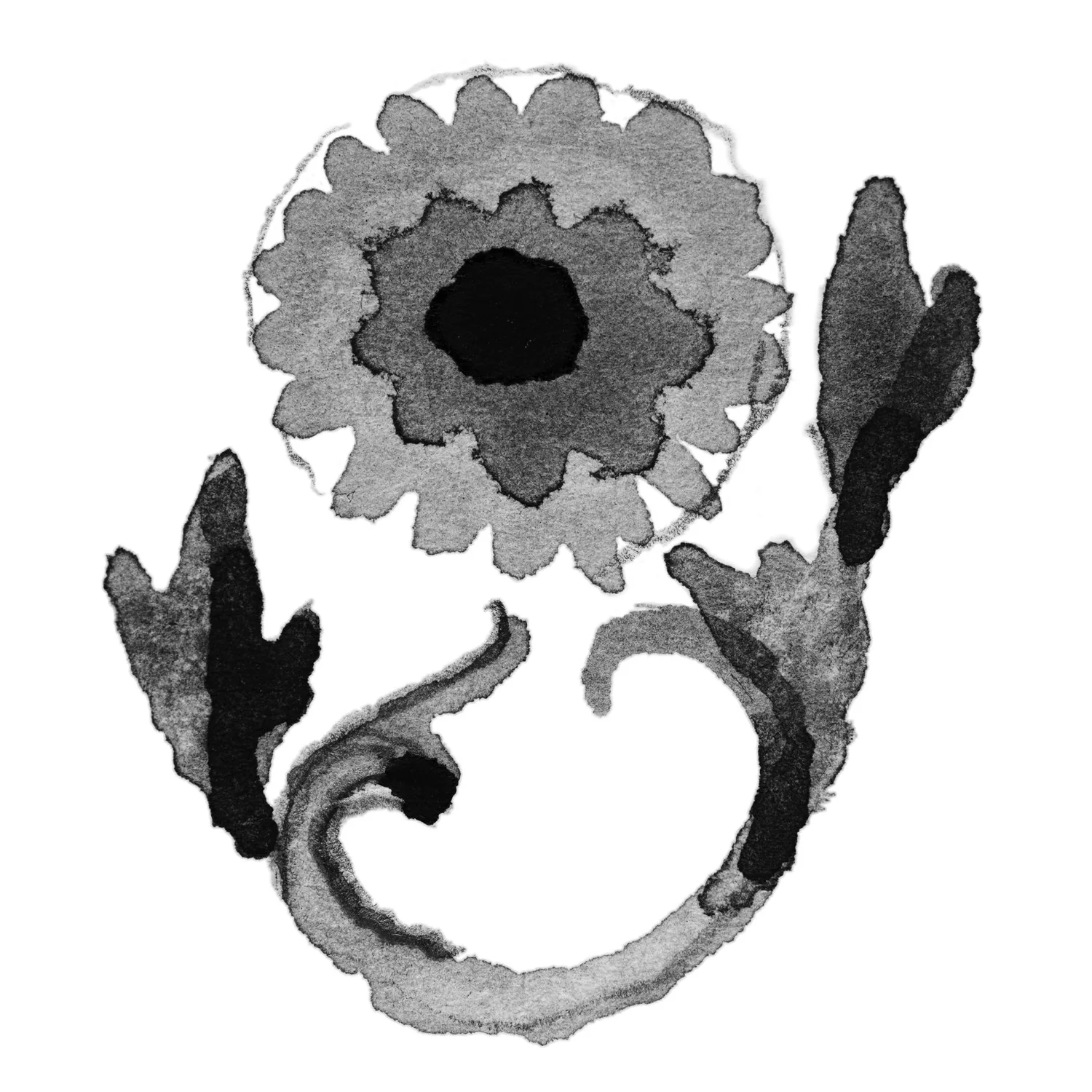 Calendula di Ottobre - Image 5