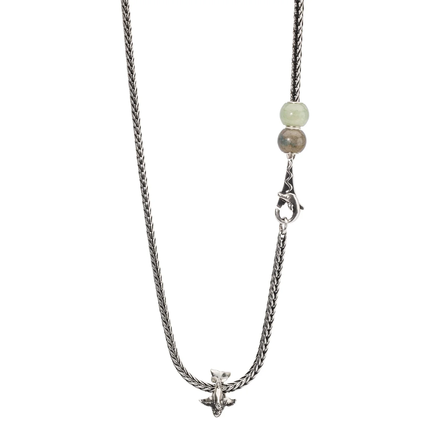 Chiusura Delfino - Image 4