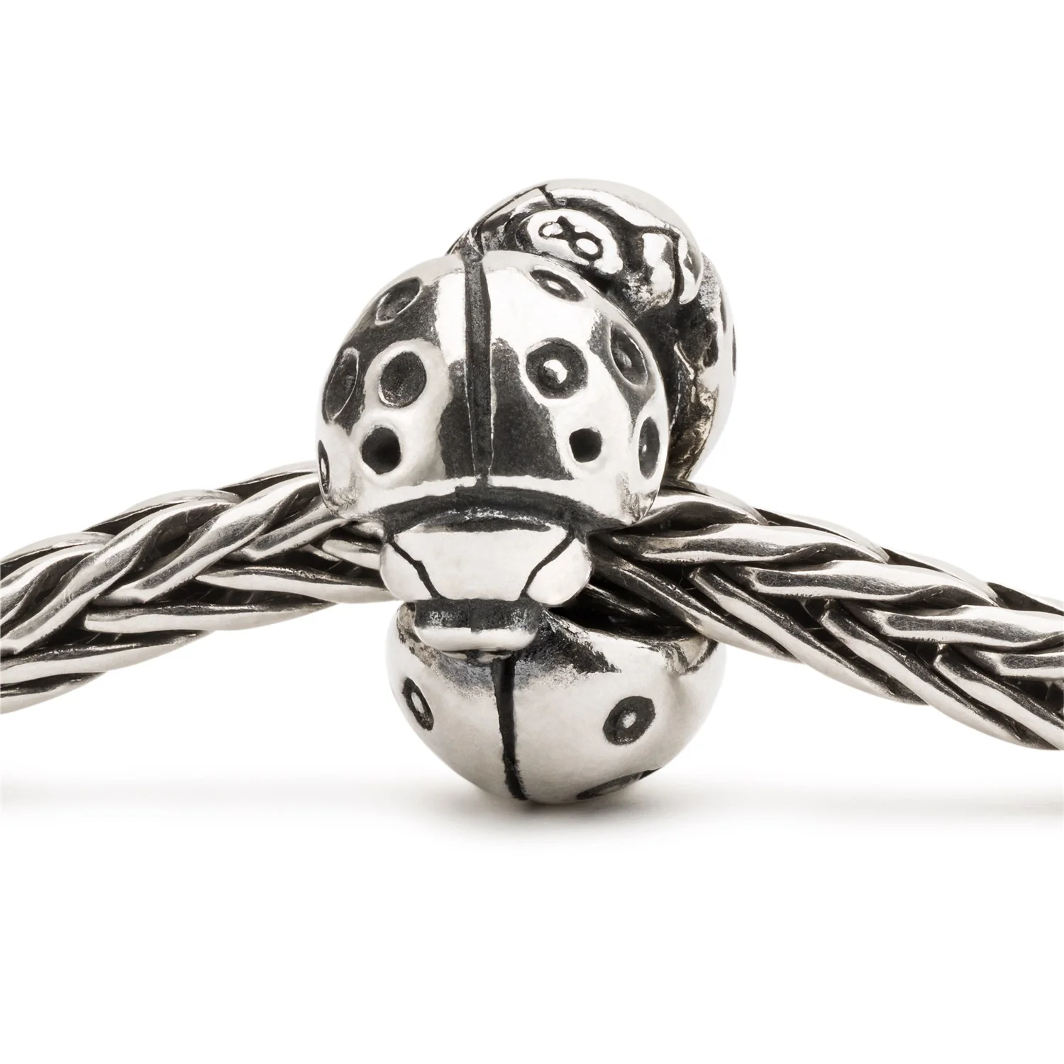 Coccinelle - Image 2