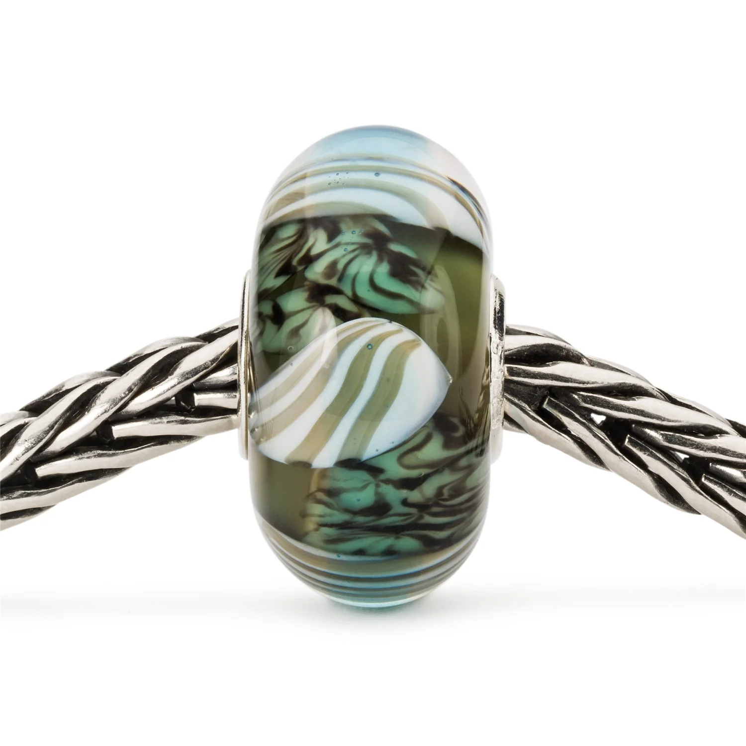 Conchiglie Marine - Image 3