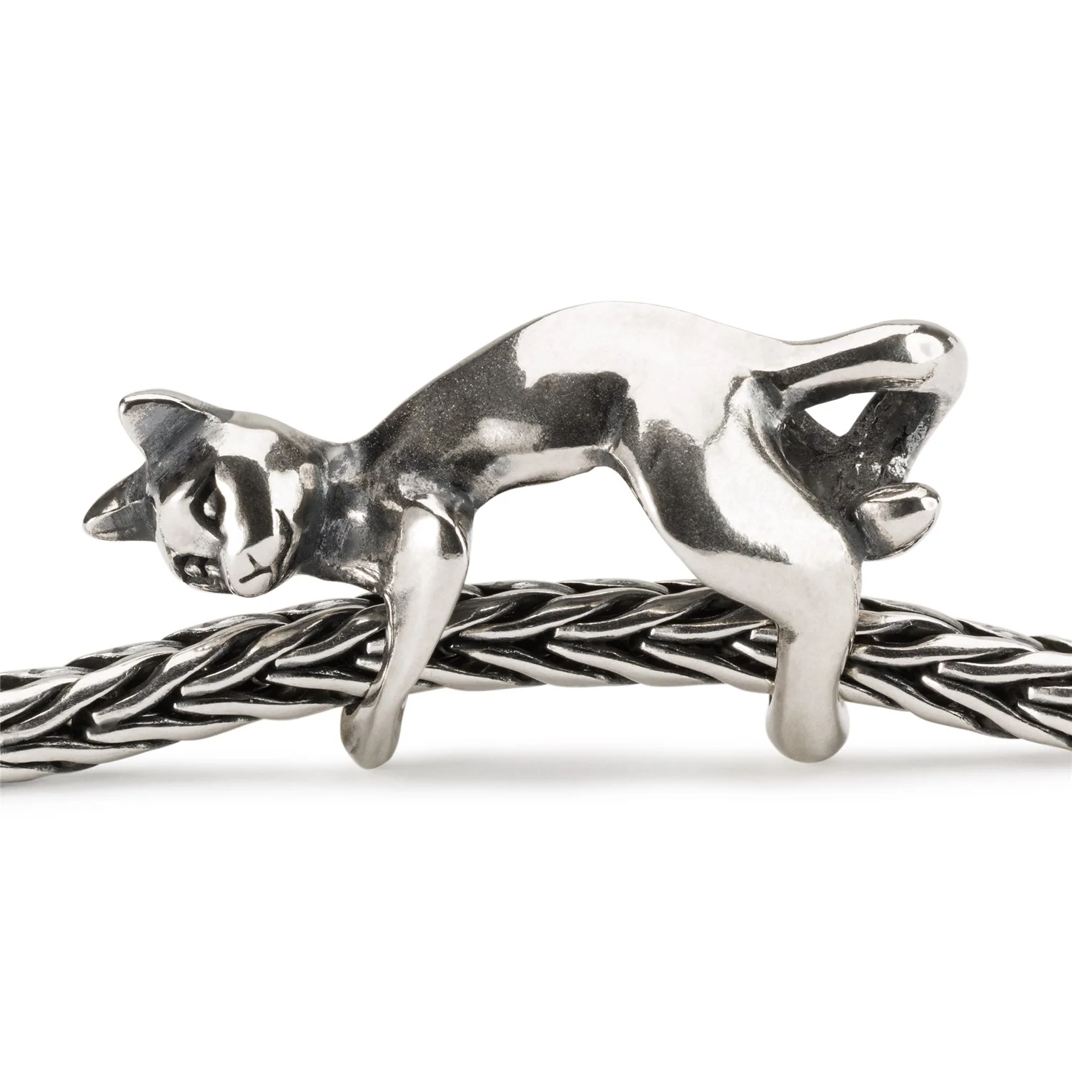 Gatto Giocoso - Image 4