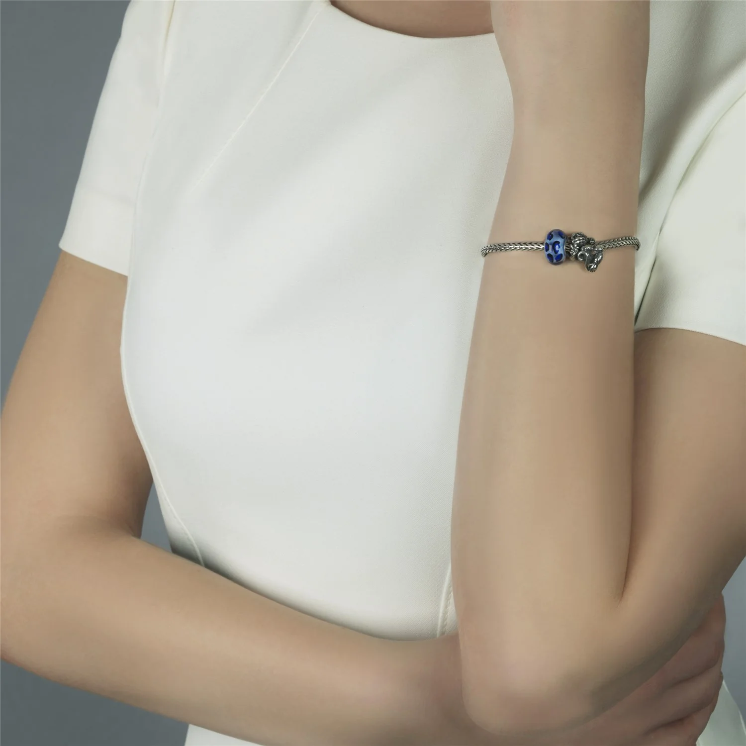 Ghepardo Azzurro - Image 2
