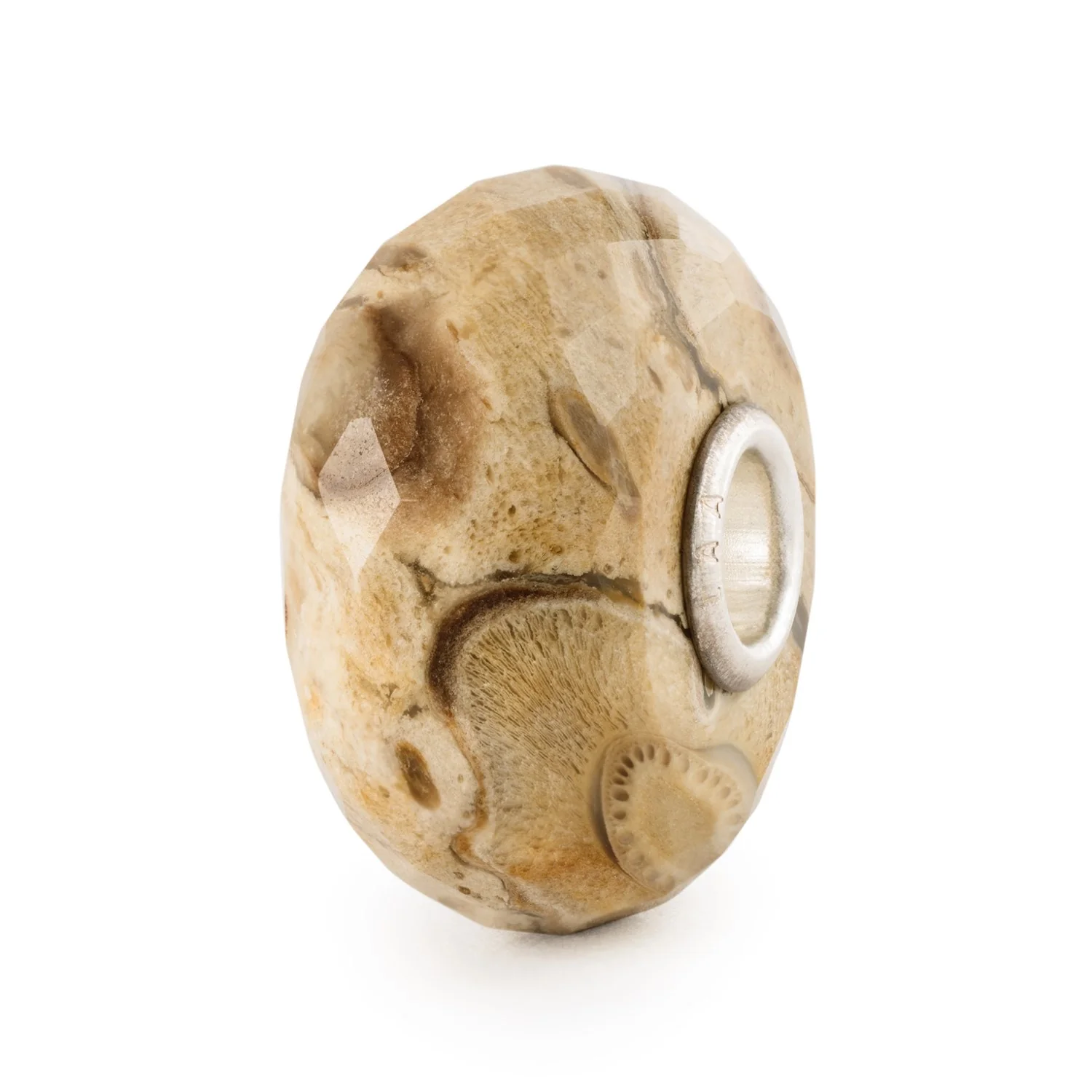 Legno Fossile - Image 3