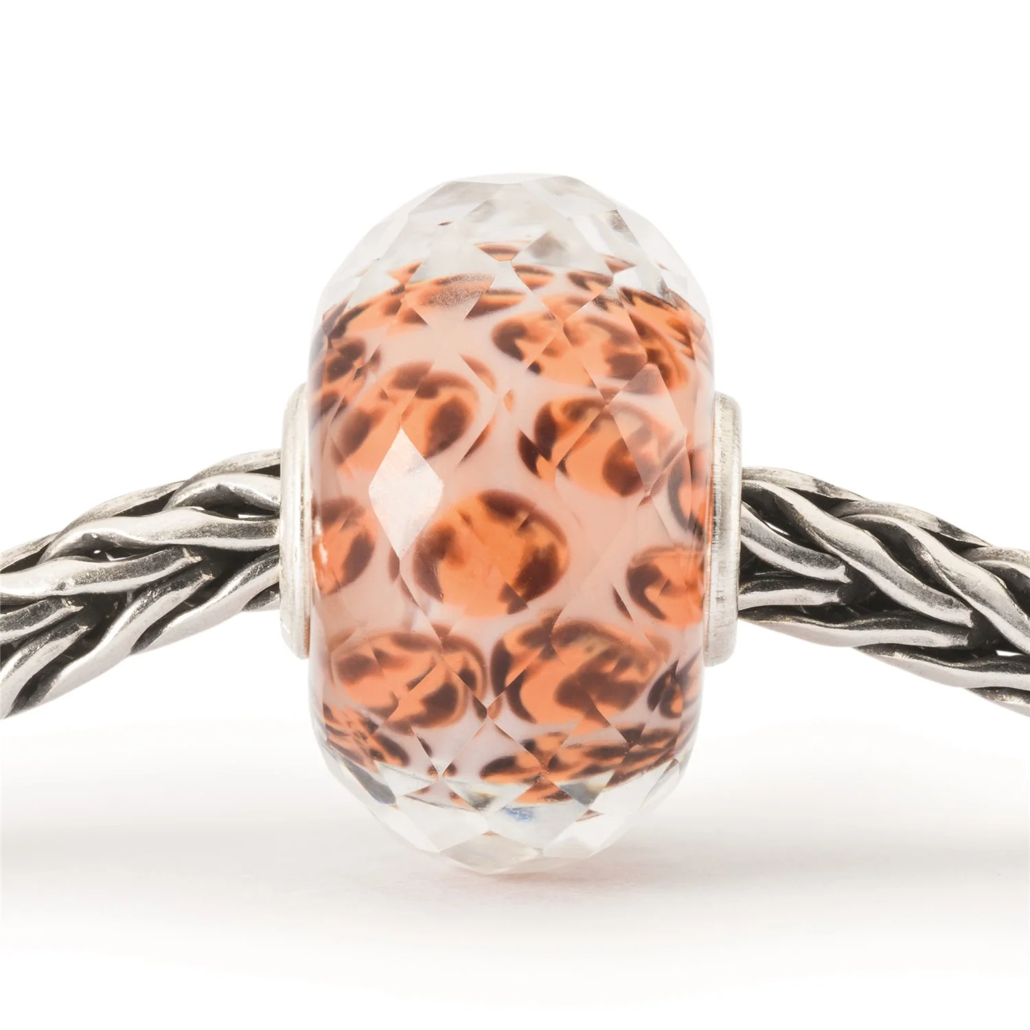 Macchie Leopardo - Image 3