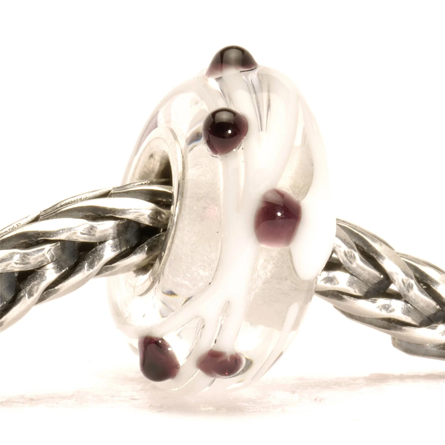 Pois Neri - Image 3