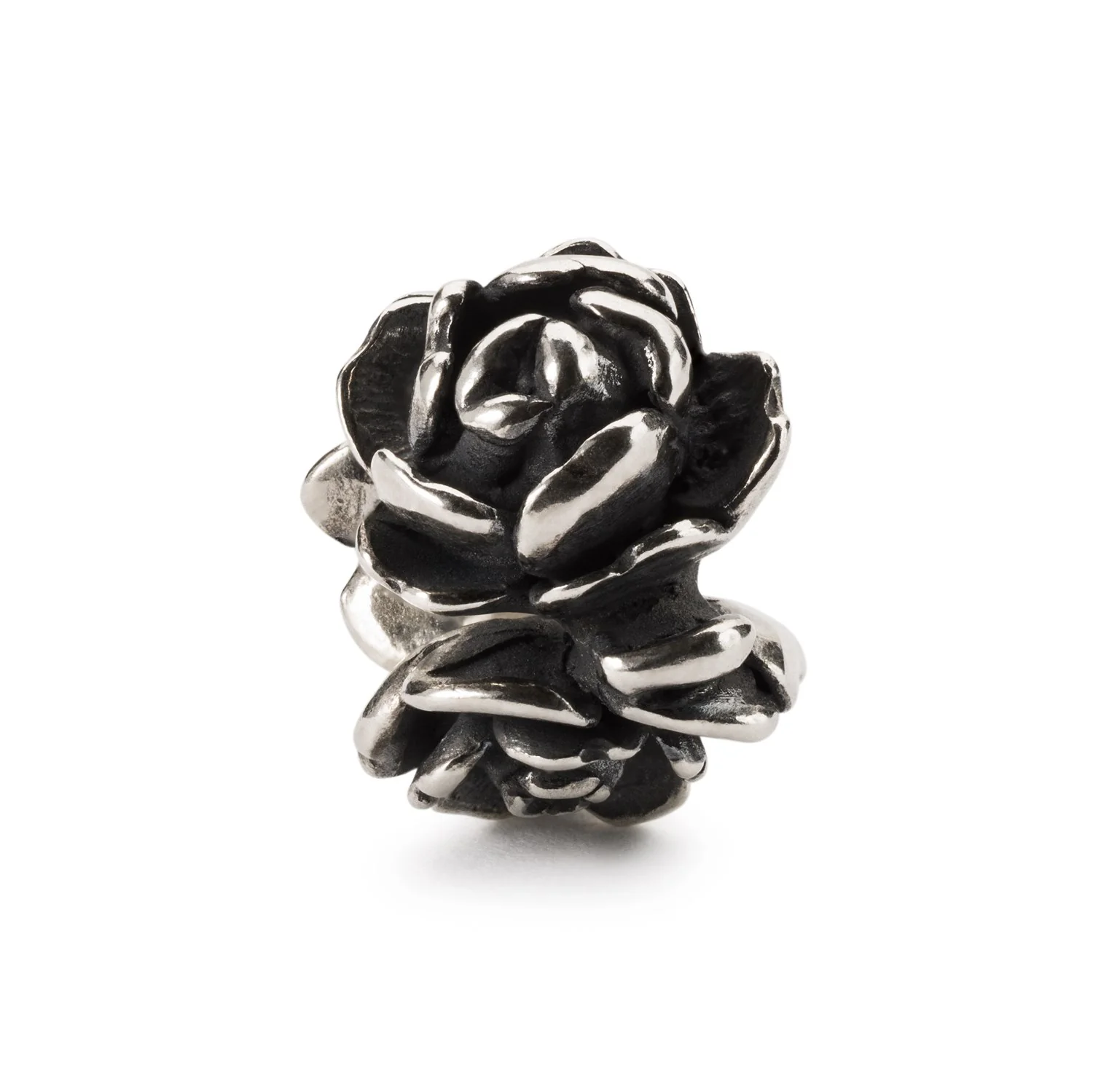 Rosa d'Amore - Image 4