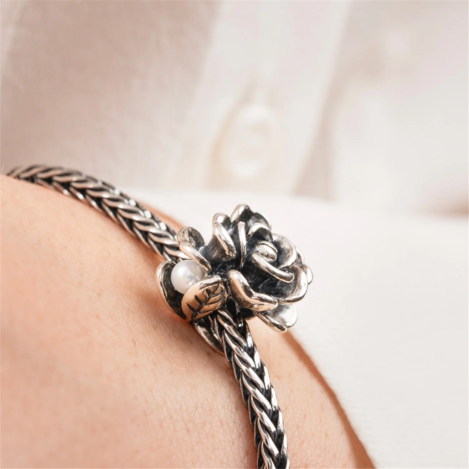 Rosa di Giugno - Image 10